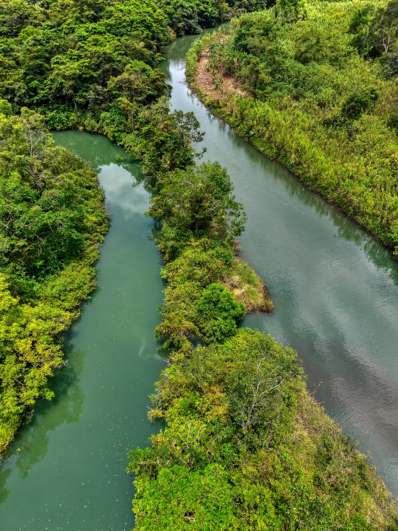 Rio de dos caminos