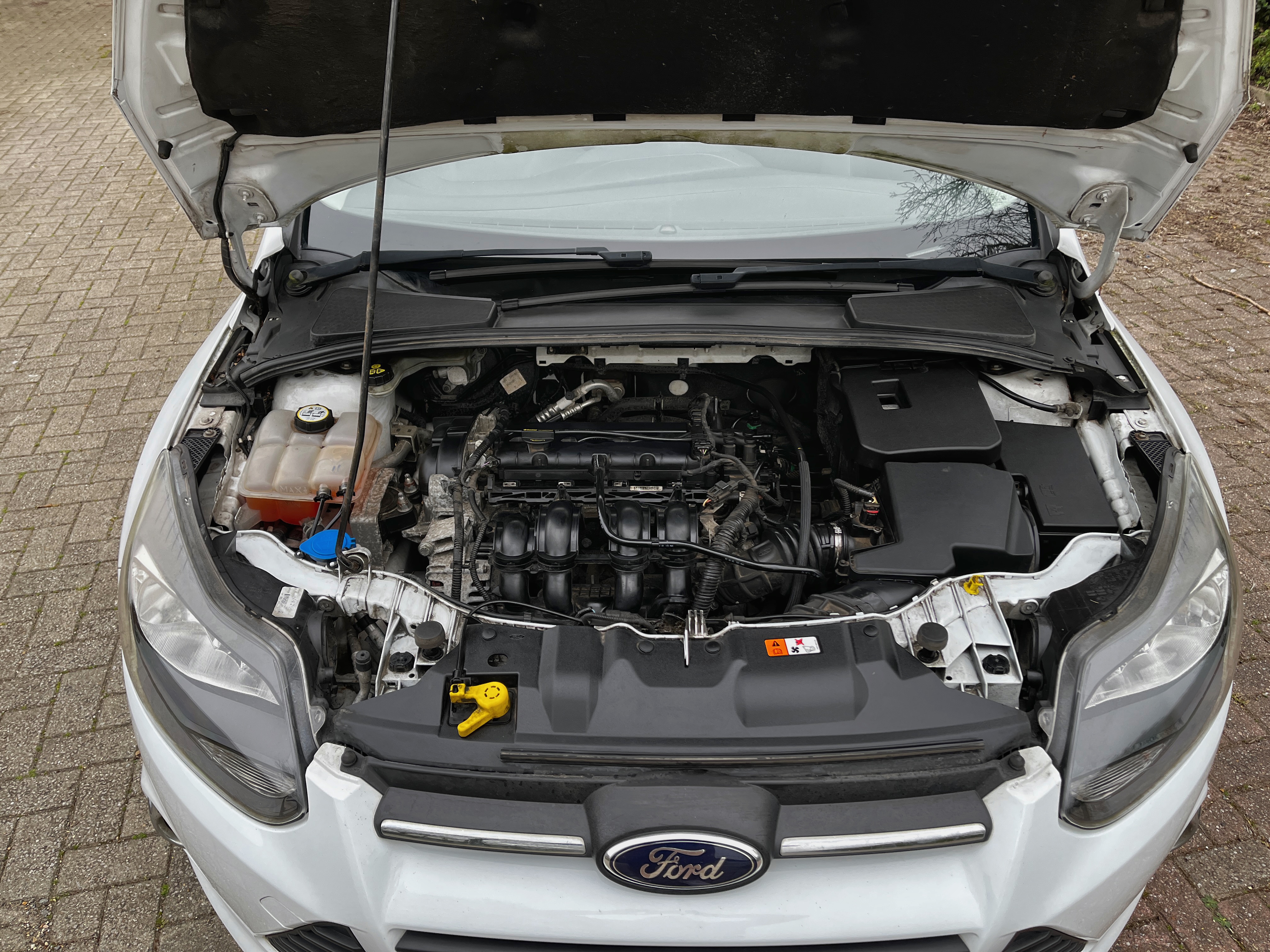 Ford Focus Zetec - View 10