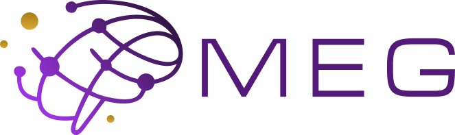 MEG Applied Intelligence Consulting