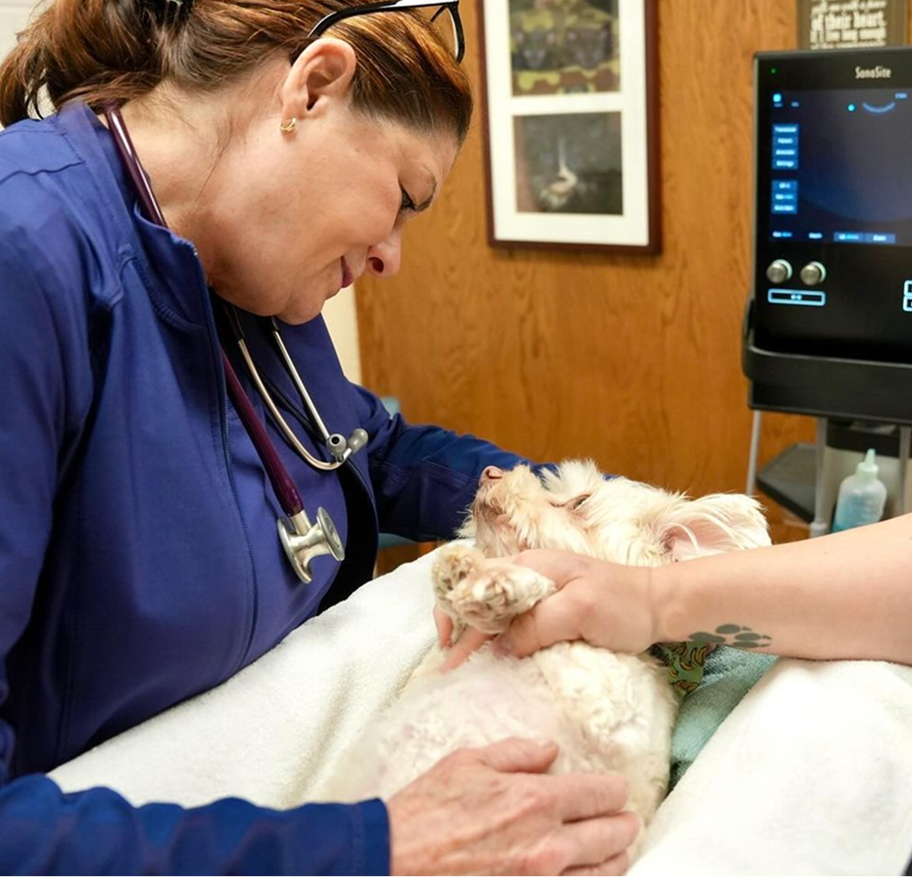 Phase 2 Implementation