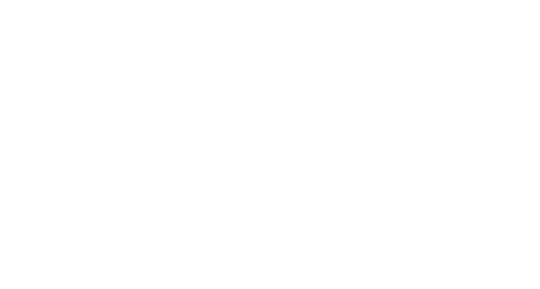 The Nolan Group