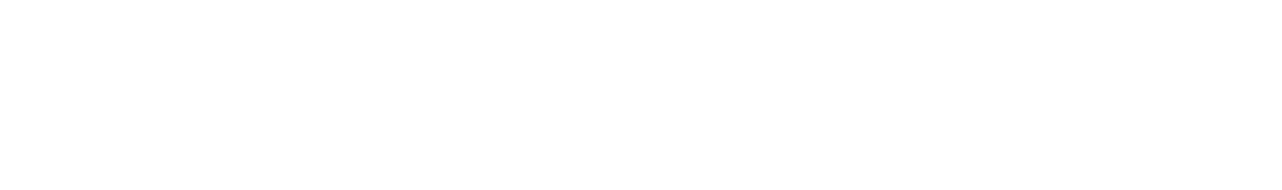 The Income Standard