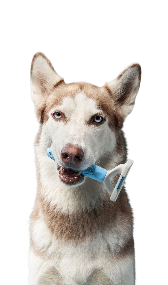 Groomer