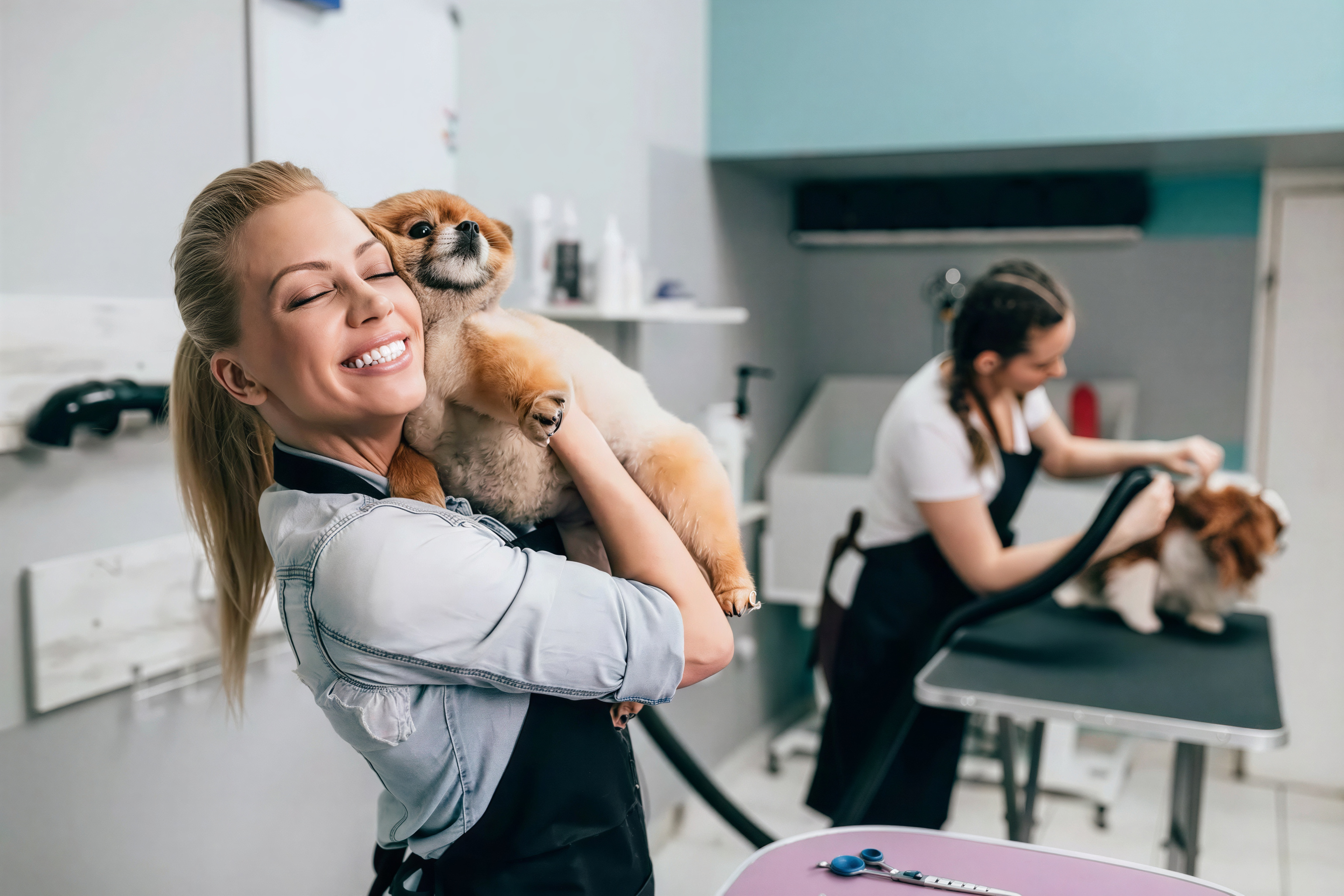 Groomer