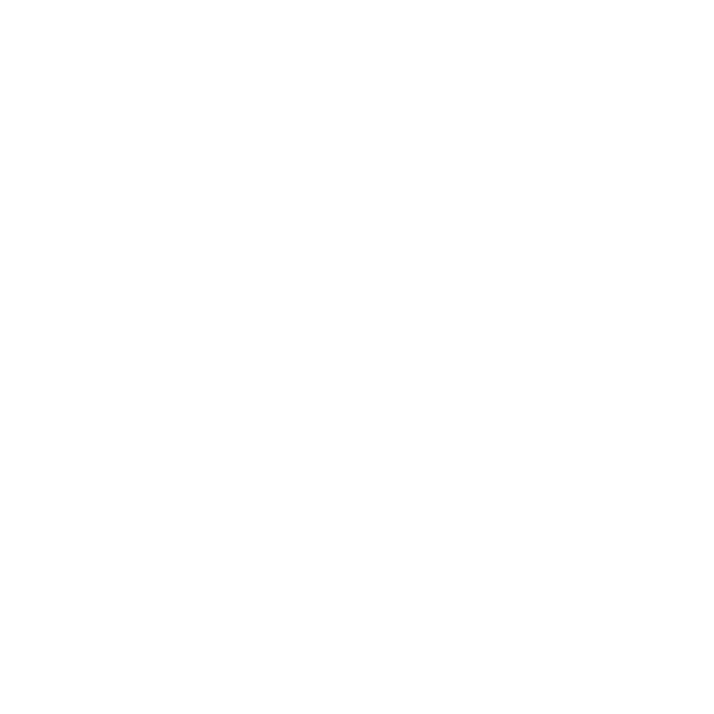 AI Guidance Consulting