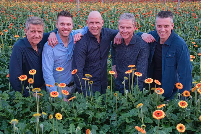 Holstein Flowers