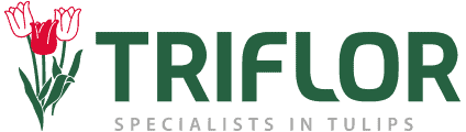 Triflor