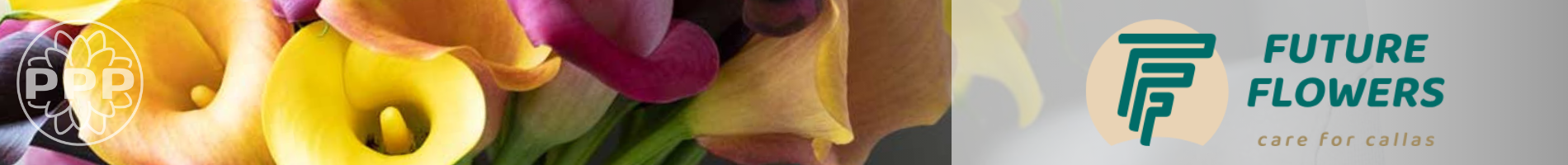 Future Flowers