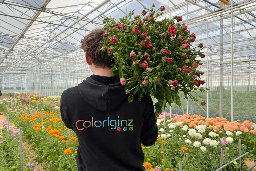 Coloríginz