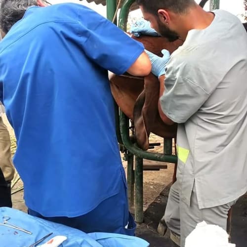Ronal García con una mascota