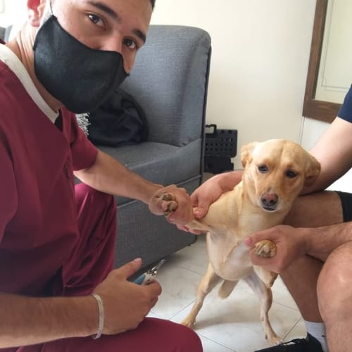 Ronal García con una mascota