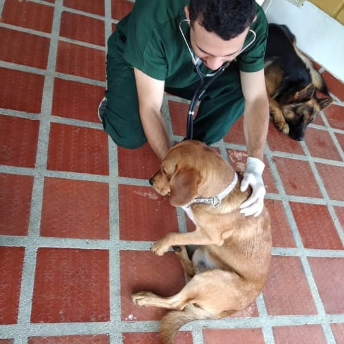Ronal García con una mascota