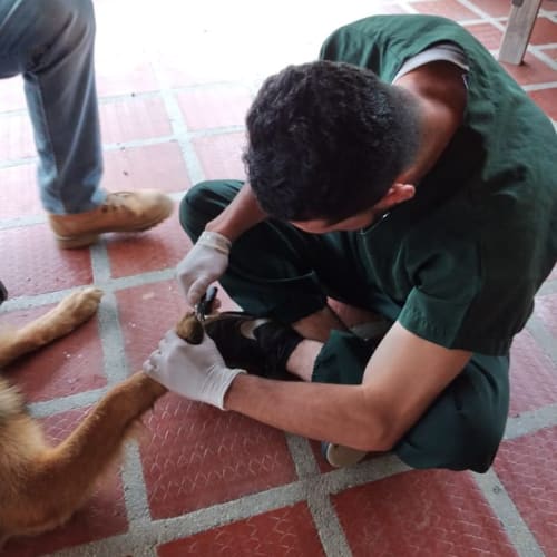 Ronal García con una mascota