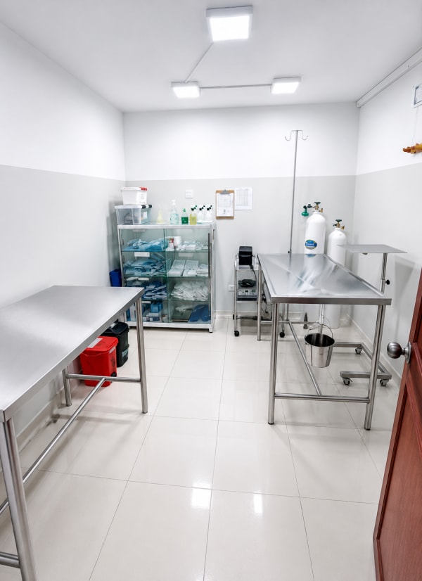 Esterilización y castración