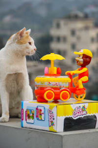 Musical Ice Cream Cart Toy with Monkey for Kids - Pretend Play Set Price in BD - Kids Toys Bangladesh thumbnail 7