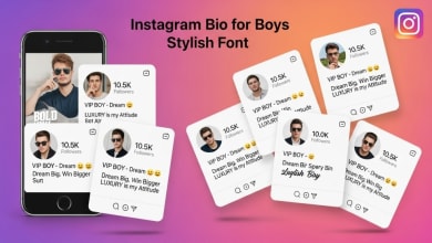 Instagram Bio For Boys Stylish Font