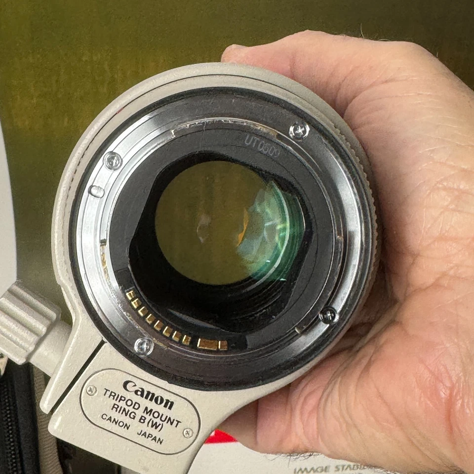 Canon EF 70-200mm f/2.8L IS III