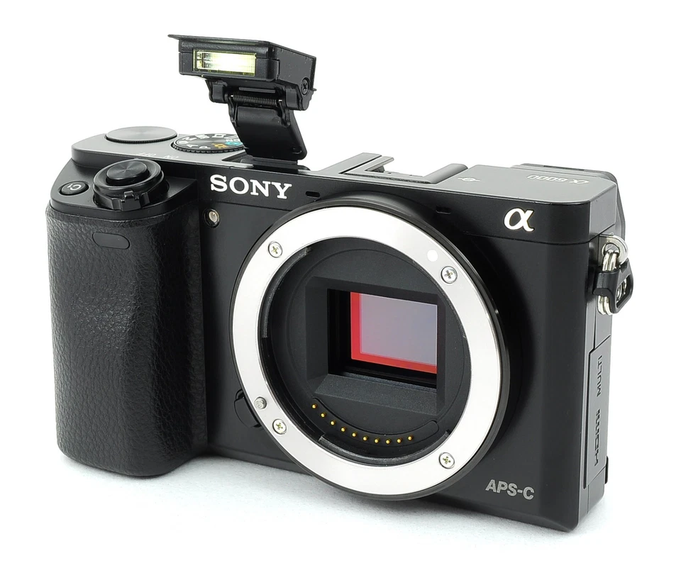 Sony Alpha A6000