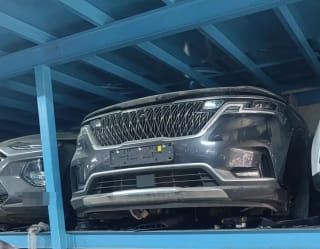 Kia Carnival halfcut