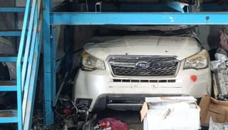 Subaru Forester (SUV) halfcut