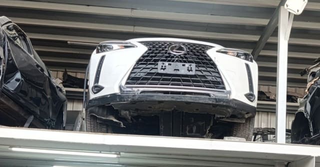 White Lexus NX SUV front cut — spindle grille, headlights and bumper, Sharjah market