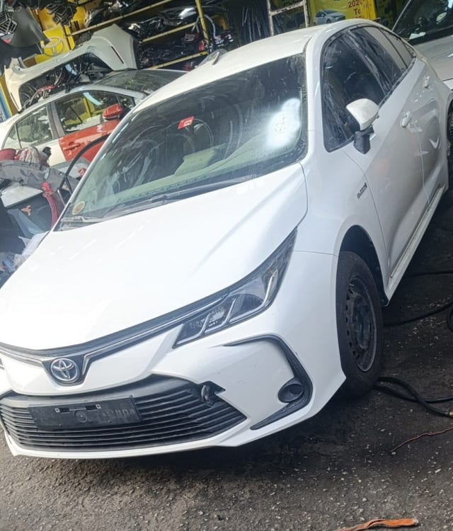 White Toyota Corolla sedan front — bumper, grille, headlights and hood, Sharjah market