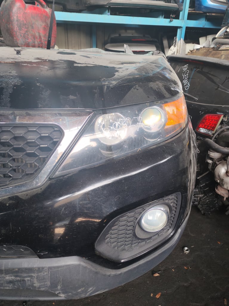 Nose cut + Hood Kia Sorento