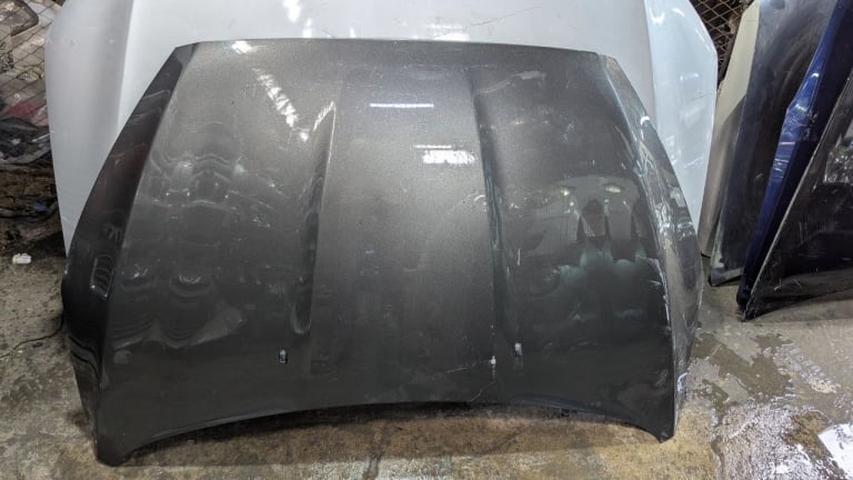 Nose cut Ford Focus