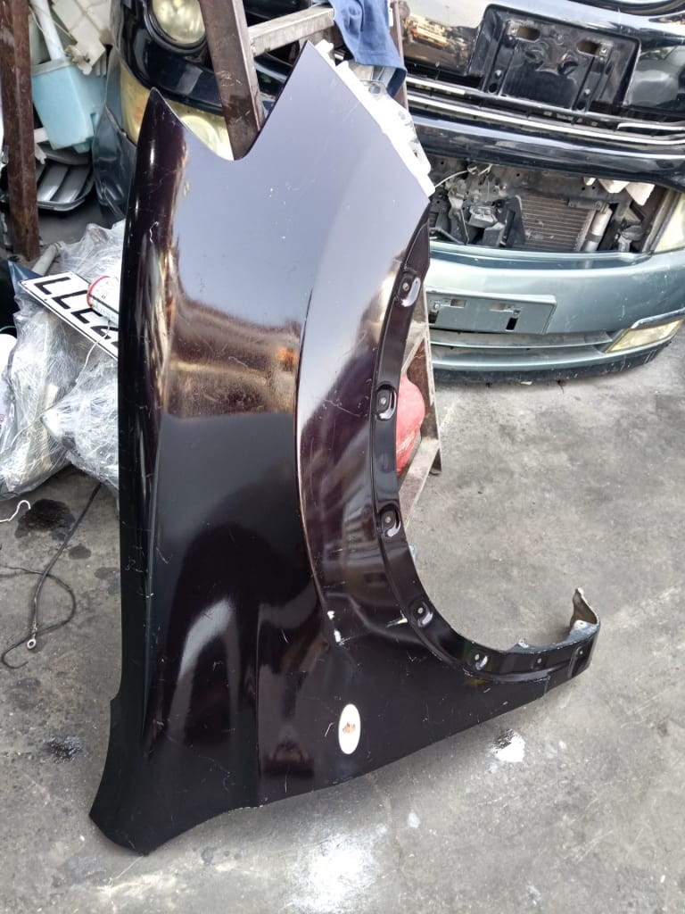 Fender Nissan Dualis