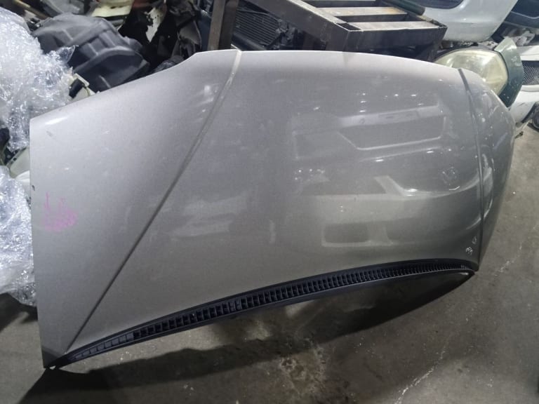 Hood Mitsubishi Delica