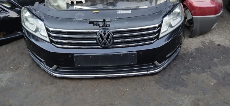 Nose cut Volkswagen Passat
