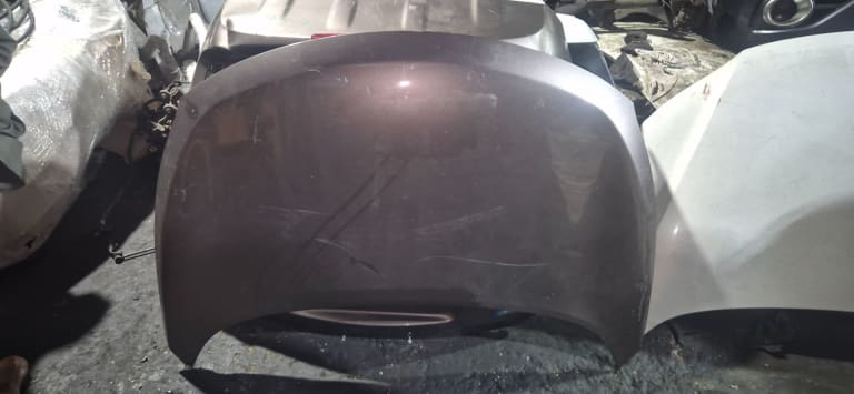 Hood Nissan Murano Z51