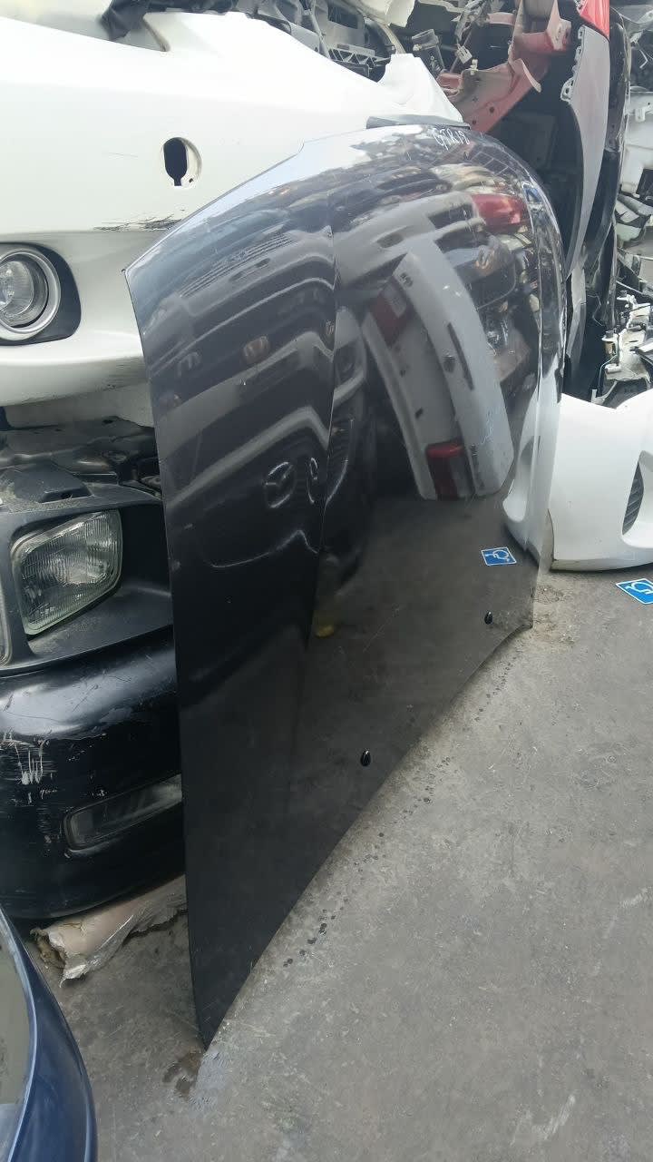 Hood Nissan Pulsar