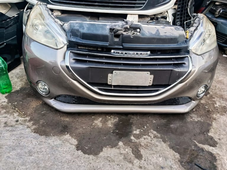 Nose cut Peugeot