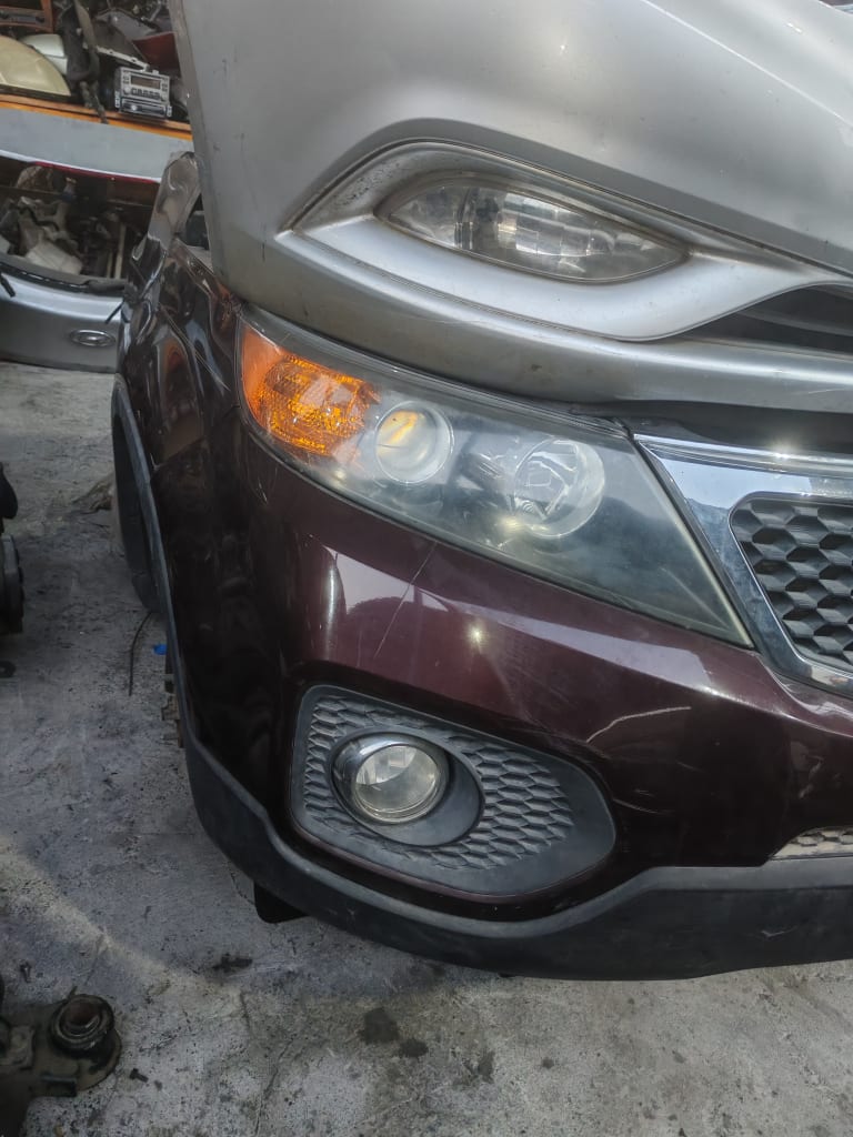 Nose cut Kia