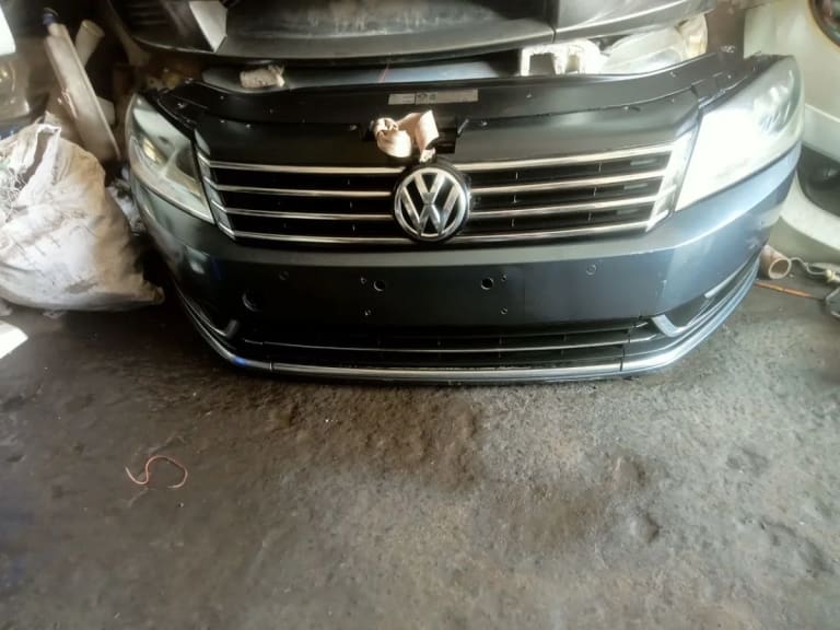 Nose cut Volkswagen Passat