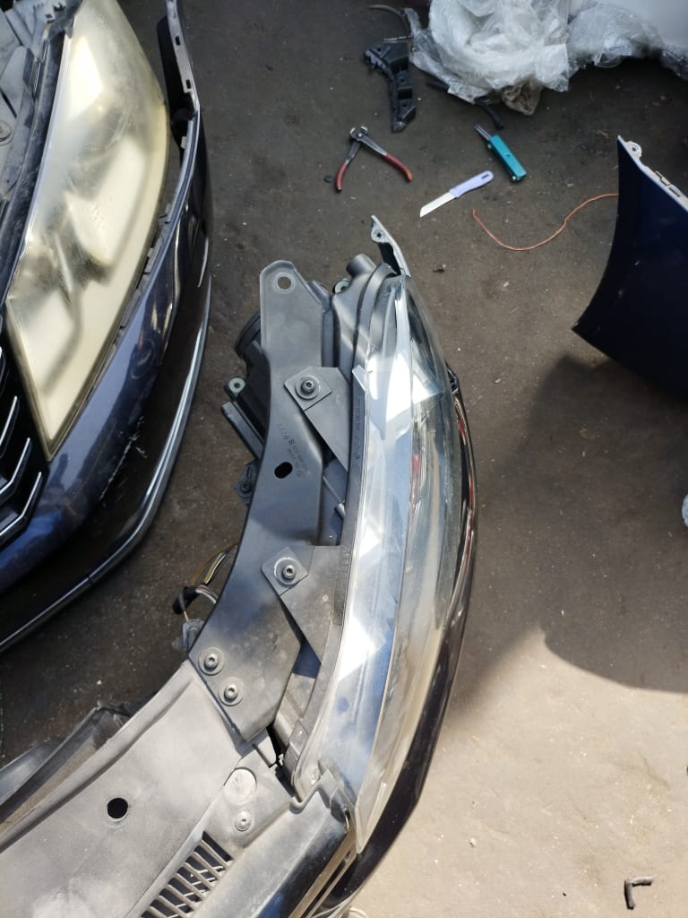 Nose cut Volkswagen