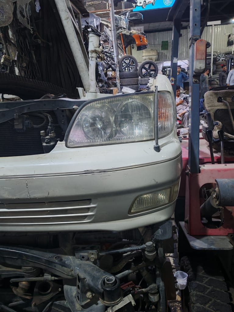 Nose cut Lexus