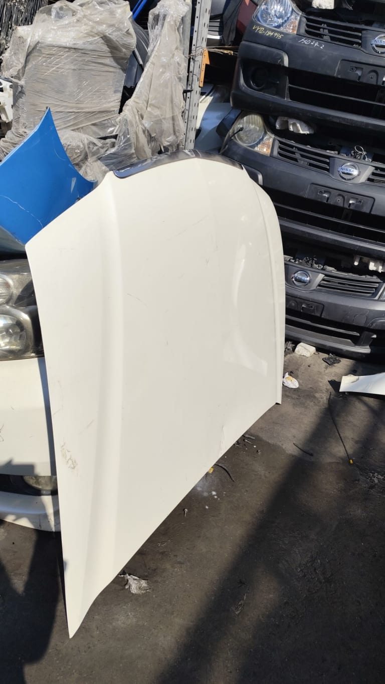 Hood Honda Accord