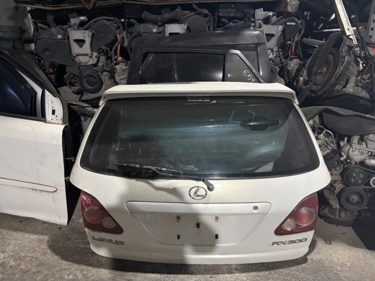 Lexus RX 300 Задняя дверь