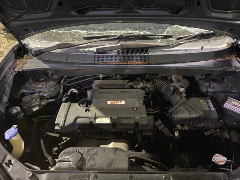 Hyundai Tucson ДВС АКПП G4GC