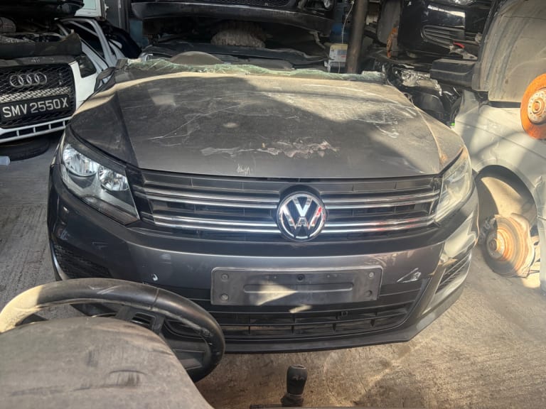 Nose cut Volkswagen Tiguan