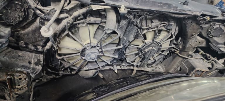 Nose cut Honda CR-V used in Sharjah — photo 10
