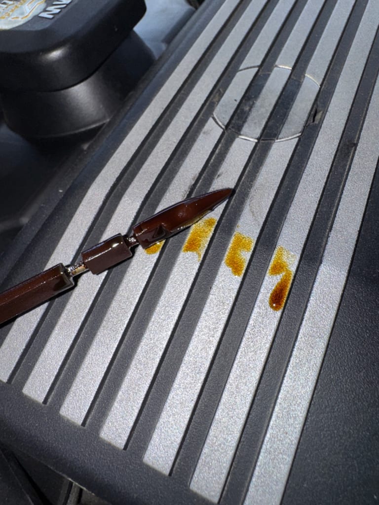 BMW ДВС АКПП M54B30 E46 (эндоскопия сделана)