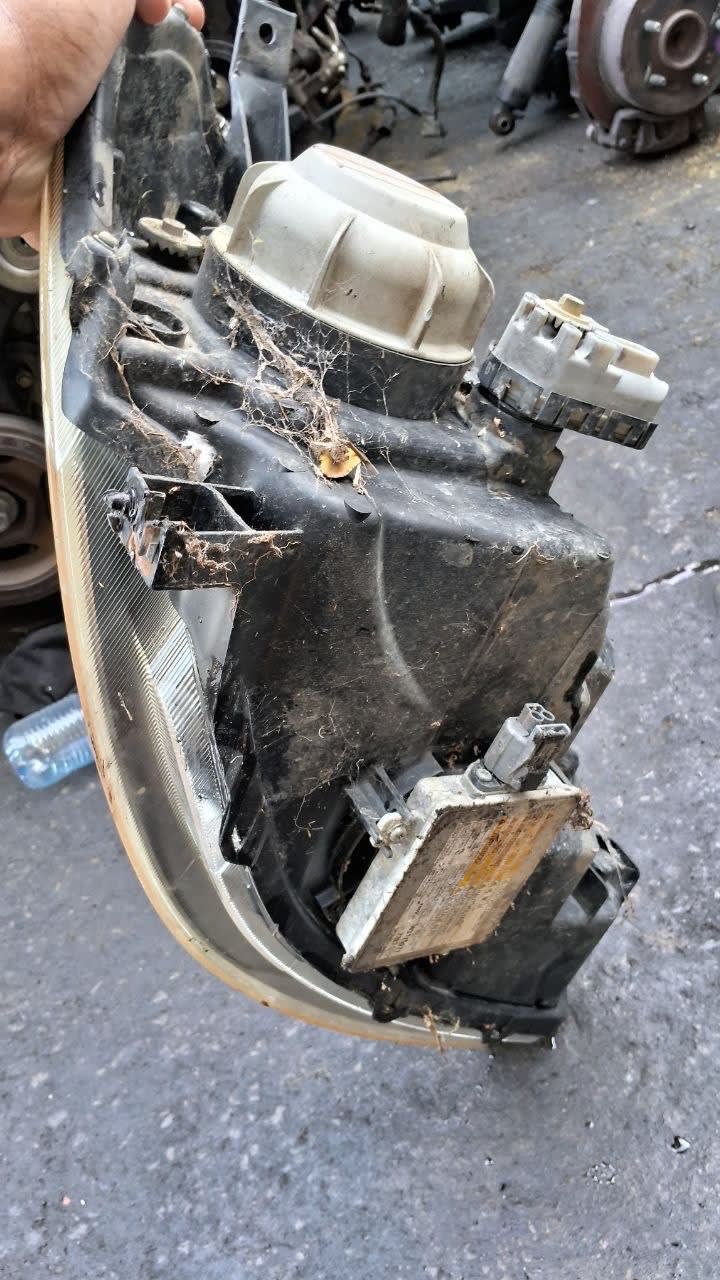 Headlights Suzuki SX4 used in Sharjah — photo 6