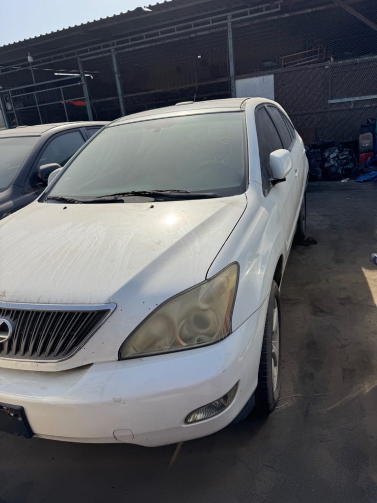 Lexus RX 330 Ноускат, капот, крылья, 4 двери, дверь багажника, ходовка (перед, зад), бампер задний.