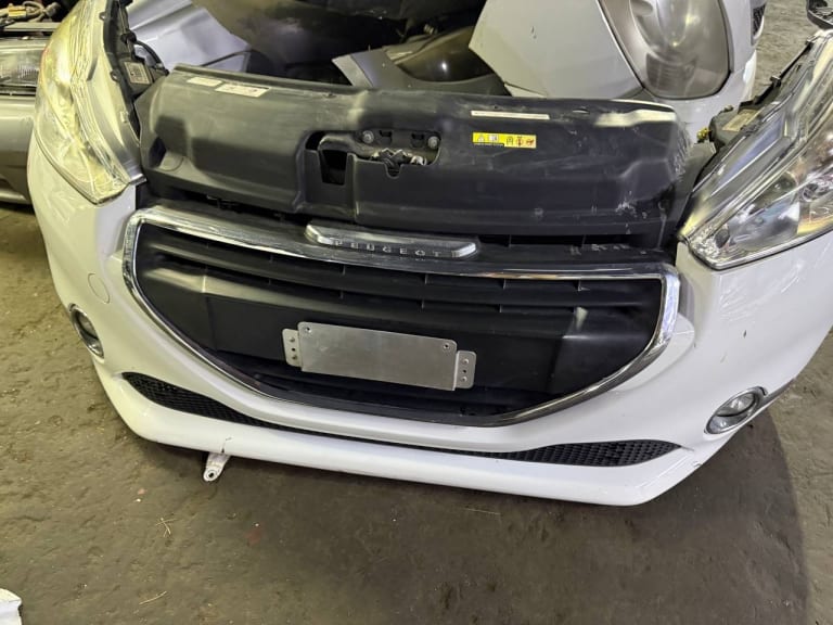 Nose cut + Hood Peugeot