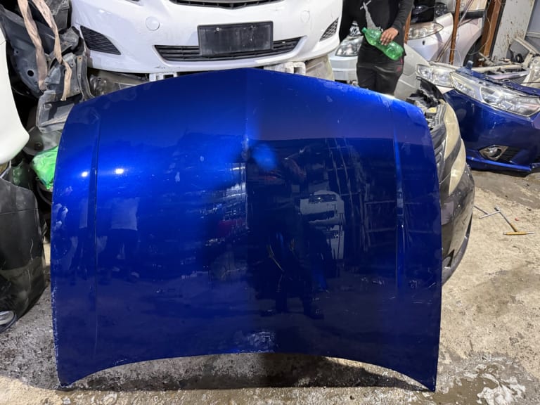 Hood + Fender Honda Accord 60100-TL0-G00ZZ