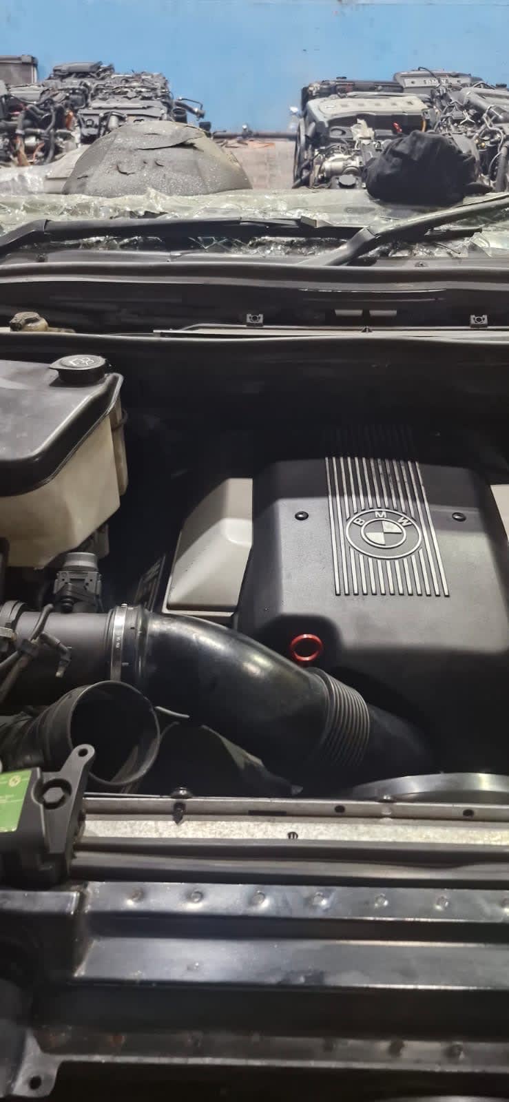 Half cut BMW M62B46 51718402319