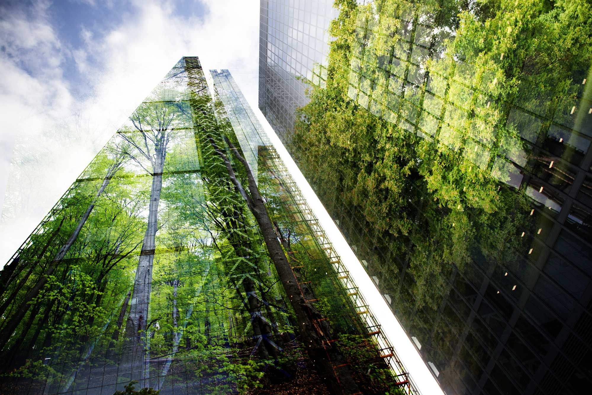 Building for Tomorrow: Why Sustainability and Eco-Friendly Solutions are Essential in Modern Real Estate
